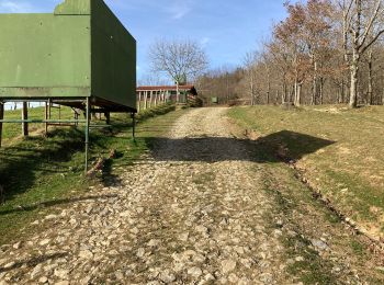 Randonnée Marche Urrugne - Ibardin Ziburumendi, Yasola forêt de Bera  Gartzin - Photo