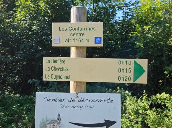 Excursión Senderismo Les Contamines-Montjoie - J20 - R19 - Les Contamines-Montjoie et la base de loisirs du Pontet - Photo