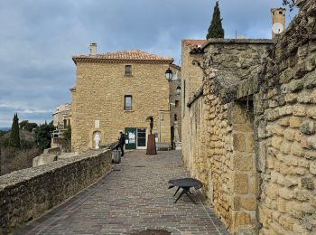 Tocht Stappen Grans - grans/cornillon - Photo