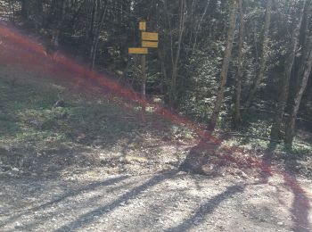 Randonnée Marche Trévignin - la boucle du Mont Revard par le golet de la pierre et la crémaillère  - Photo