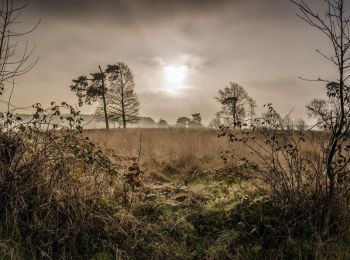 Tocht Te voet Hamminkeln - Konstantinsforst Rundweg A6 - Photo