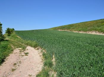 Percorso A piedi Evaň - [Z] Poplze - Horka - Photo