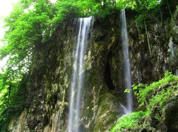 Tour Zu Fuß  - Slatinski Drenovac - planinarski dom Jankovac - Photo