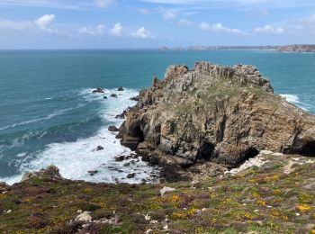 Excursión Senderismo Camaret-sur-Mer - Étape 4/6 Tour de Crozon (Camaret-St Hernod) - Photo