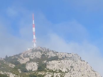 Excursión Senderismo Montpeyroux - Saint-Baudille  - Photo