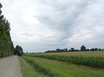 Excursión A pie La Chapelle-des-Fougeretz - Les 5 Rottes - Photo