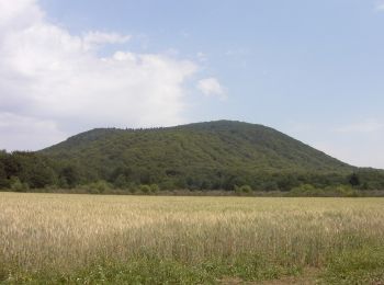 Randonnée A pied Saint-Ours - Le Puy de Louchadiere - Photo