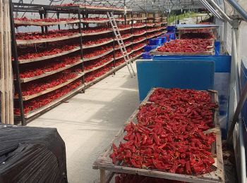 Excursión Senderismo Itxassou - tour d'URSUMU  ITXASSOU-ITSASOU - Photo