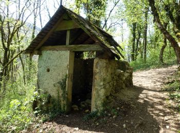 Trail Walking Saint-Jean-d'Arvey - Remontée de la Leysse-2021-04-22 - Photo