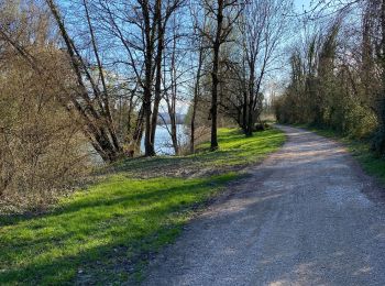 Randonnée Vélo électrique Saint-Vulbas - Saint vulbas dans le 01 - Photo