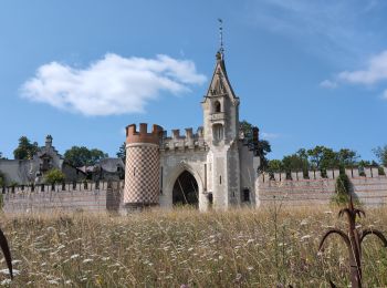 Percorso Marcia L'Île-Bouchard - l'île-Bouchard - Brizay Theneuil Parçay-sur-Vienne - 24km 300m 5h10 (1h05) - 2024 07 24 - Photo