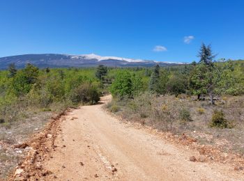 Tocht Mountainbike Mormoiron - La Tête à Jeannot !!!! - Photo