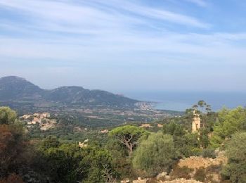 Tocht Stappen Corbara - Tour du Monte Sant’Anghjulu - Photo