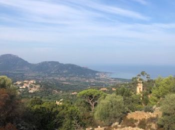 Randonnée Marche Corbara - Tour du Monte Sant’Anghjulu - Photo