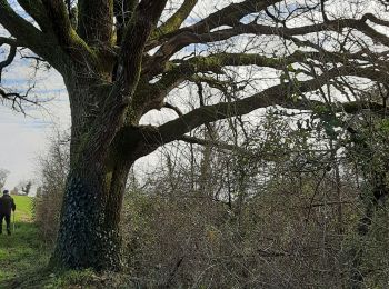 Tocht Stappen Puyréaux - La Balade de PUYREAUX - Photo