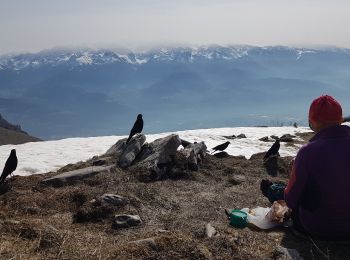 Randonnée Marche Plateau-des-Petites-Roches - Pravouta en traversée par la face Est - Photo