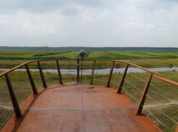 Trail On foot Heusden - Vlijmens Ven - Photo