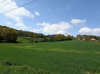 Randonnée Marche Steenvoorde - Départ Steenvoorde arrivée CampingLa ferme des Saules - Photo