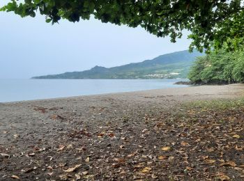 Excursión Senderismo Le Morne-Rouge - Le Morne-Rouge  -  Le  Carbet par Col Yang Ting - Photo