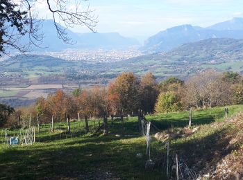 Tour Wandern Vaulnaveys-le-Bas - Les Balcons de Belledonne au dėpart de Montchaffrey - Photo