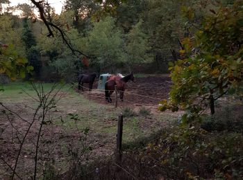 Randonnée Marche Romans-sur-Isère - Les Balmes - Photo