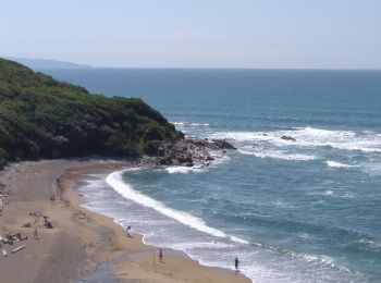 Excursión Senderismo Bidart - Bidart -saint jean de Luz  - Photo