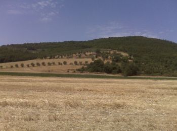 Tour Zu Fuß Magione - Magione - Monte Ruffiano - Photo