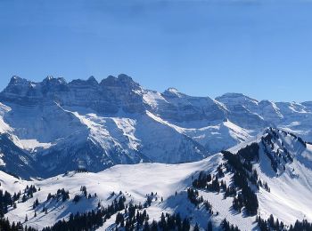 Tour Zu Fuß Saint-Jean-d'Aulps - Tour des Portes du Soleil - Photo