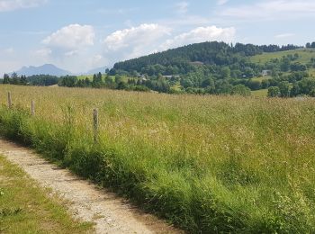 Excursión Senderismo Saint-Nizier-du-Moucherotte - Tour de Saint-Nizier par le Tremplin et la Combe de La Jaille - Photo