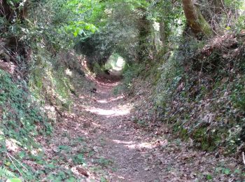 Excursión Senderismo La Gacilly - La GACILLY - Photo