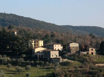 Excursión A pie Gaiole in Chianti - Trekking tra i castelli 8 - Photo