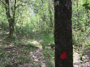 Randonnée Marche Touët-sur-Var - Touet sur Var - Photo