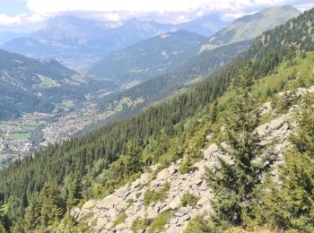 Excursión Senderismo Les Contamines-Montjoie - Le Lay - vers le glacier de Tré la Tête  - Photo