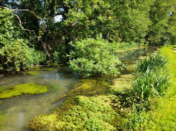 Tour Wandern Moncontour - VIENNE / LA SENTE DIVINE: SAINT CHARTRES - LA GRIMAUDIERE - Photo