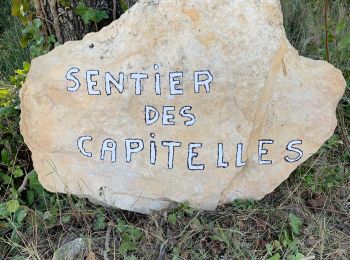 Tour Wandern Bernis - Capitelles de Bernis - Photo