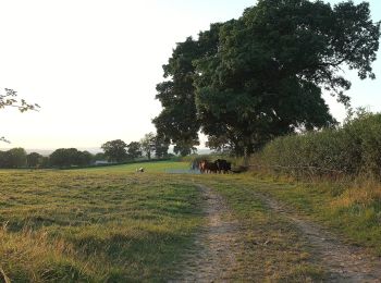 Tocht Te voet East Devon - Aylesbeare Circular - Photo