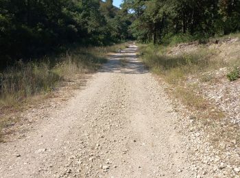 Randonnée Marche Lauris - reco lauris tp - Photo