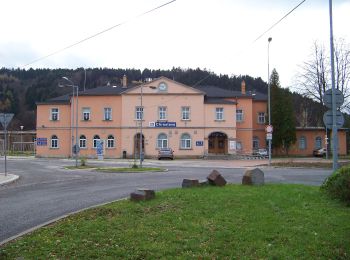 Excursión A pie Chrastava - [Ž] Chrastava - Bedřichovský les - Photo