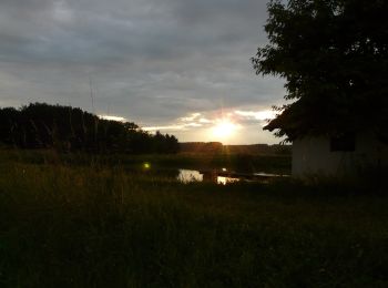 Tour Zu Fuß Röttenbach - Storchenweg - Photo