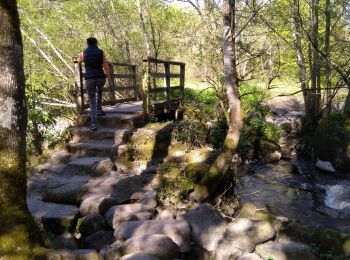 Trail Walking Le Tablier - le petit piquet  - Photo