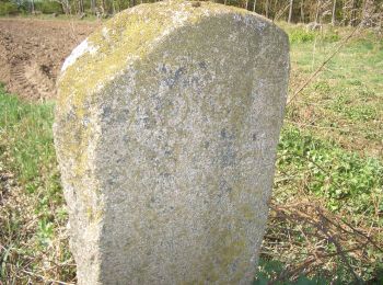 Randonnée A pied Sülfeld - Vom Herrenhaus Borstel zum Nienwohlder Moor - Photo