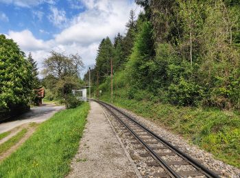 Tocht Te voet Gemeinde Kirchberg an der Pielach - Tut Gut 1 - Photo