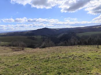 Excursión Senderismo Chenereilles - Randonnée autour de Chenereilles  - Photo