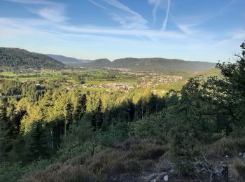 Randonnée Marche Le Syndicat - plaine cleurie - la bresse - Photo