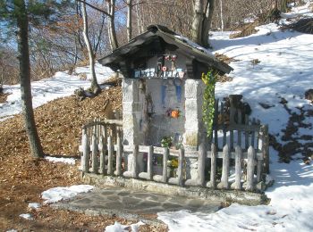 Trail On foot Varallo - IT-644 - Photo