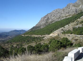 Excursión A pie Grazalema - PUERTO DE LAS PRESILLAS - Photo