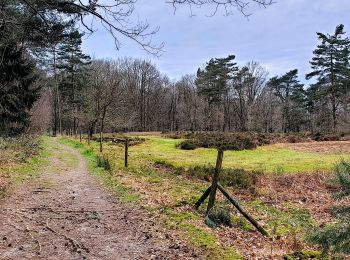 Trail Walking Huldenberg - Terlanen - Sint-Agatha-Rode - Photo