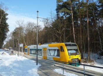 Tour Zu Fuß Bad Saarow - Naturlehrpfad Petersdorfer See - Photo