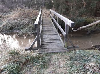 Tocht Te voet Schnaittenbach - Wanderroute Ehenbachweg - Photo