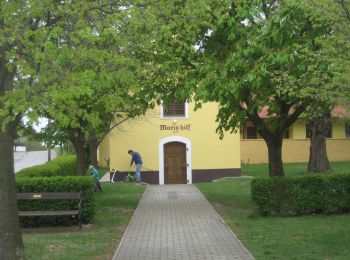 Excursión A pie Berg - Rundwanderweg Königswarte-Altes Haus - Photo